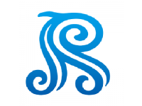 レイスシステムソリューションズ（エンジニア）