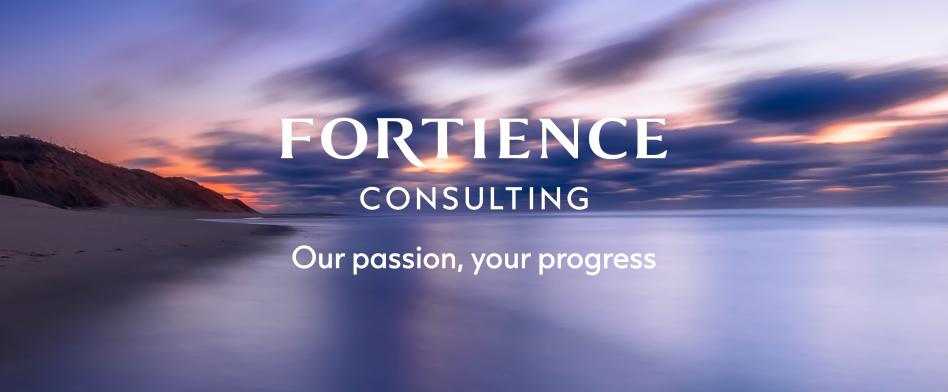 フォーティエンスコンサルティング（旧：クニエ）の画像