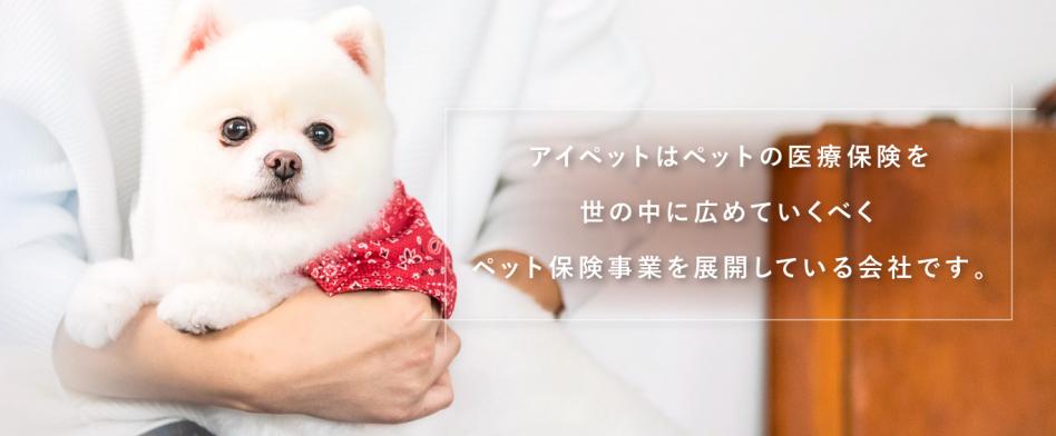 アイペット損害保険の画像