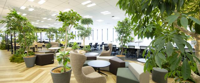 レイスシステムソリューションズ（エンジニア）