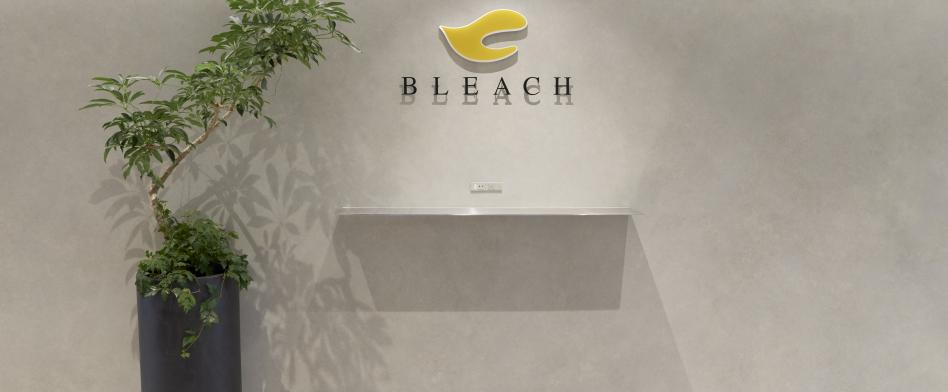 ブリーチの画像
