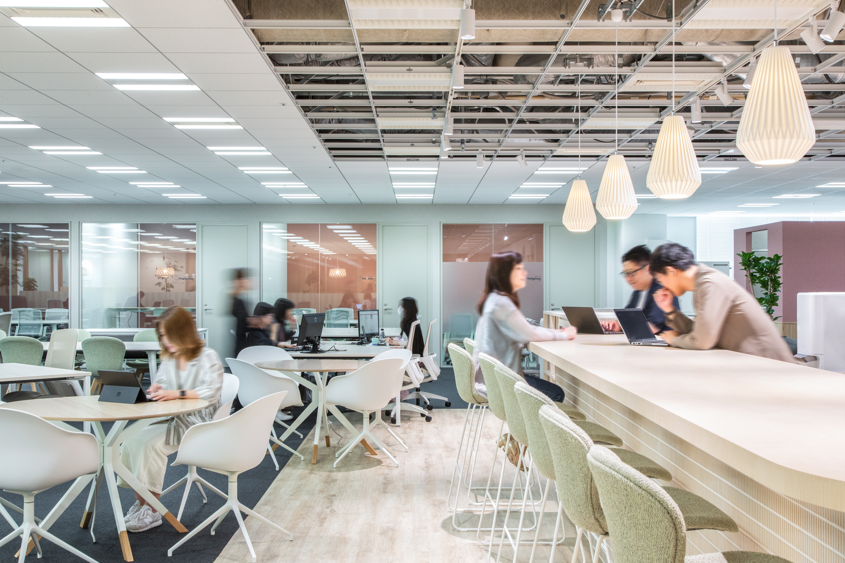 アイペット損害保険のオフィス風景