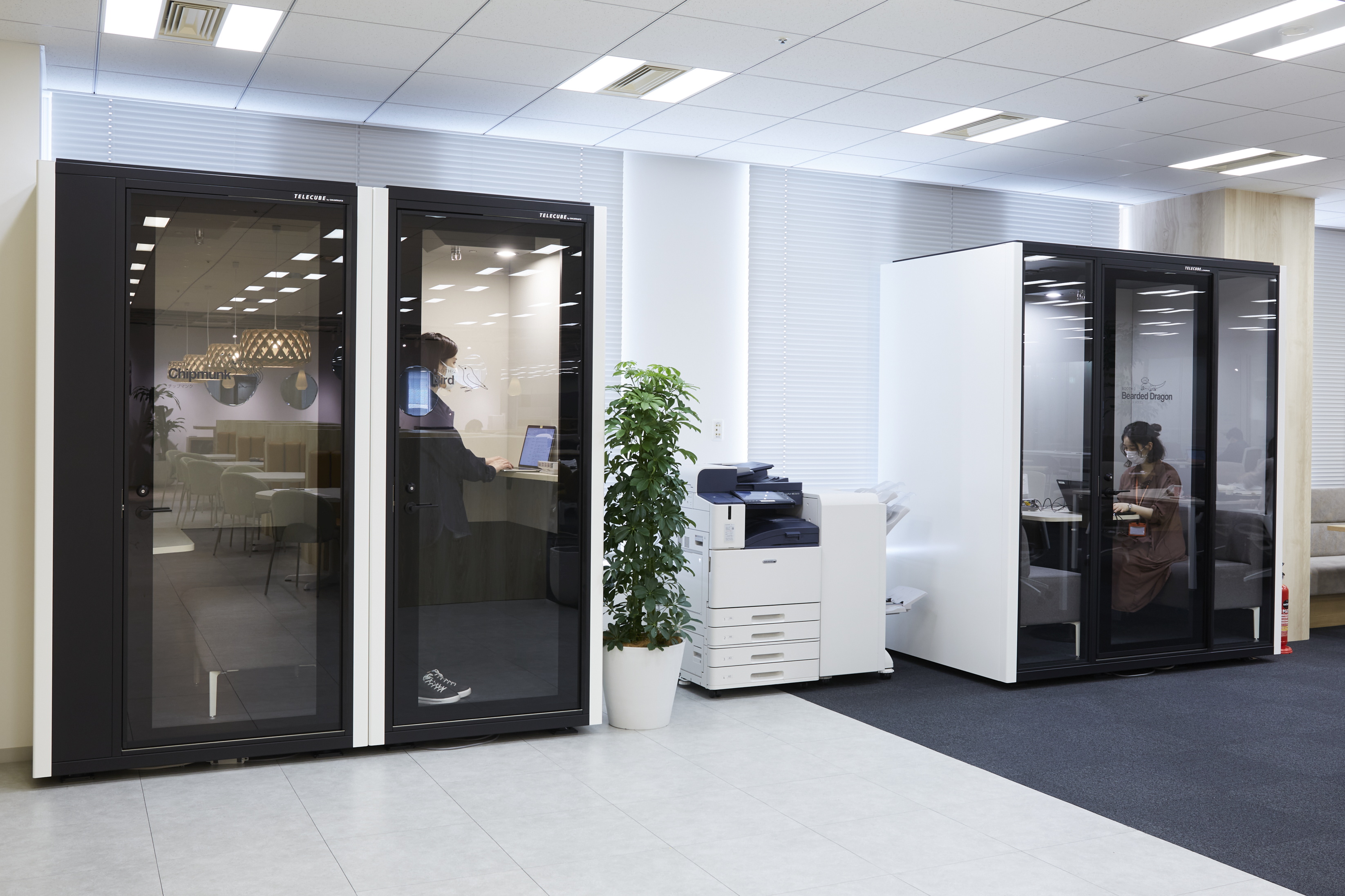 アイペット損害保険のオフィス風景