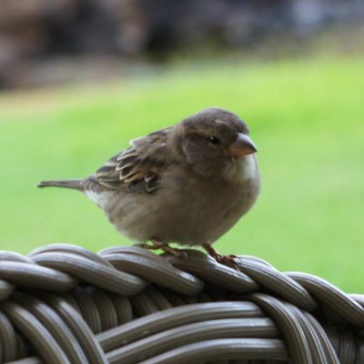 no-img2″></p>
<figcaption class=